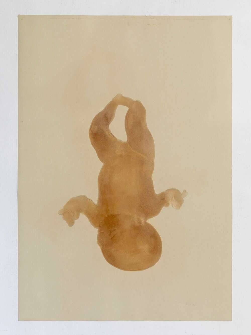 IMMAGINE 02_cera in assorbimento