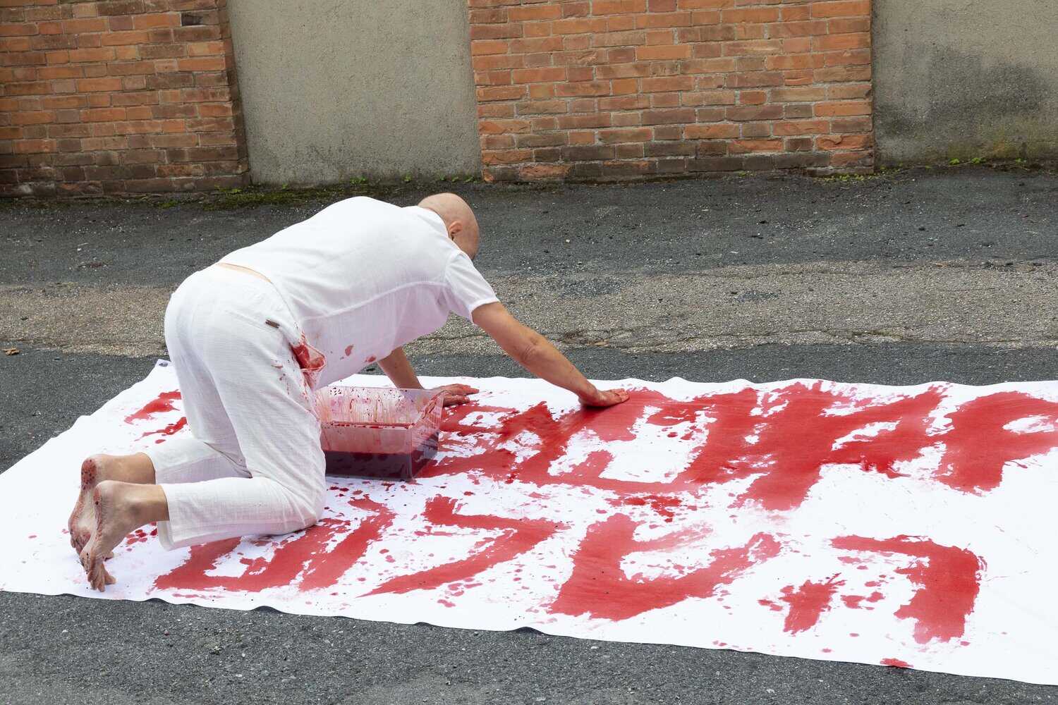 IMMAGINE 07_performance